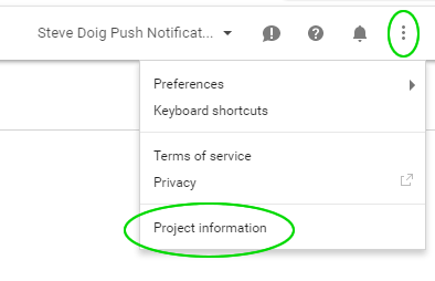 google console project information